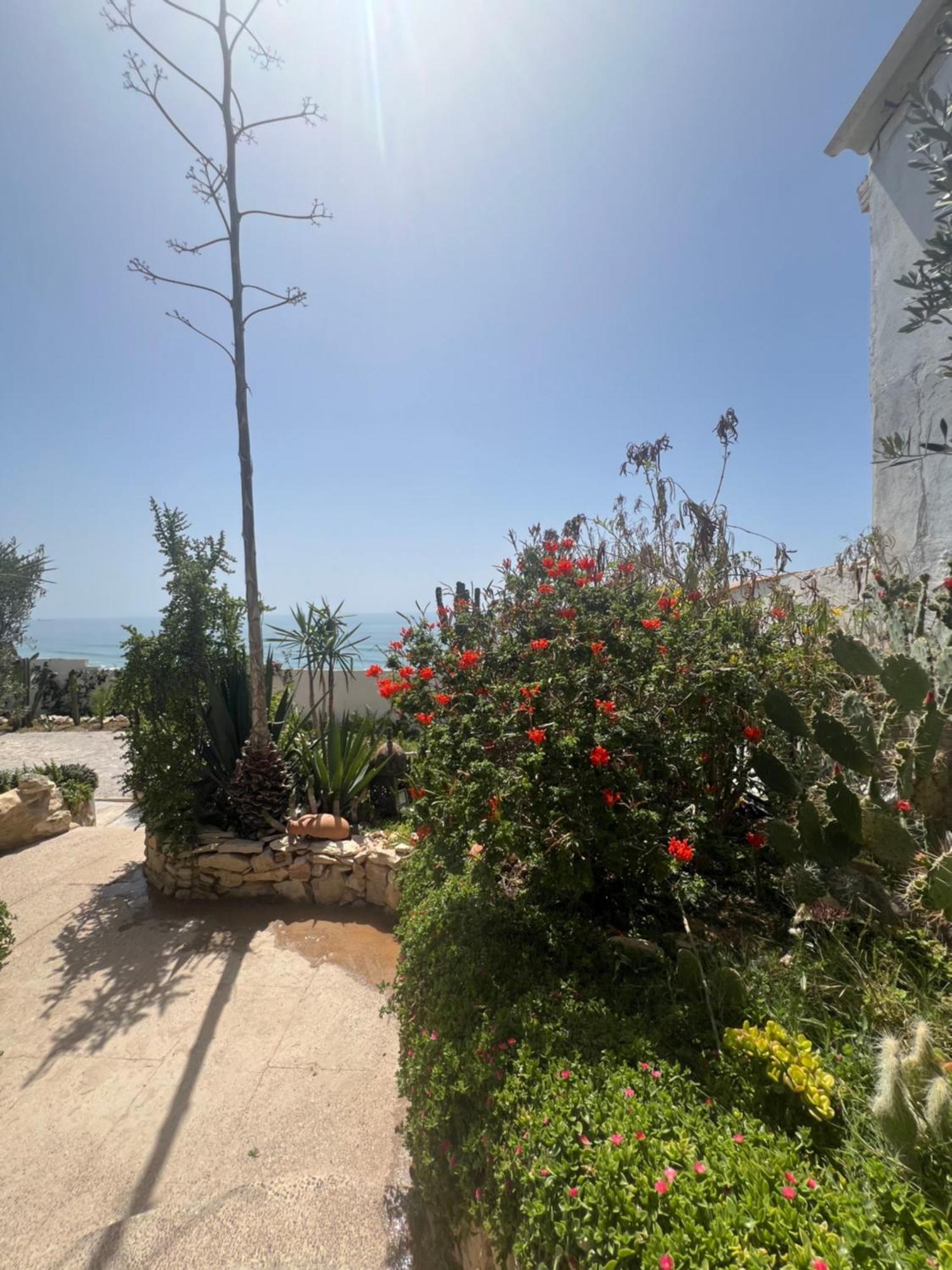 Villa Jardin De L'Ocean Aourir Dış mekan fotoğraf
