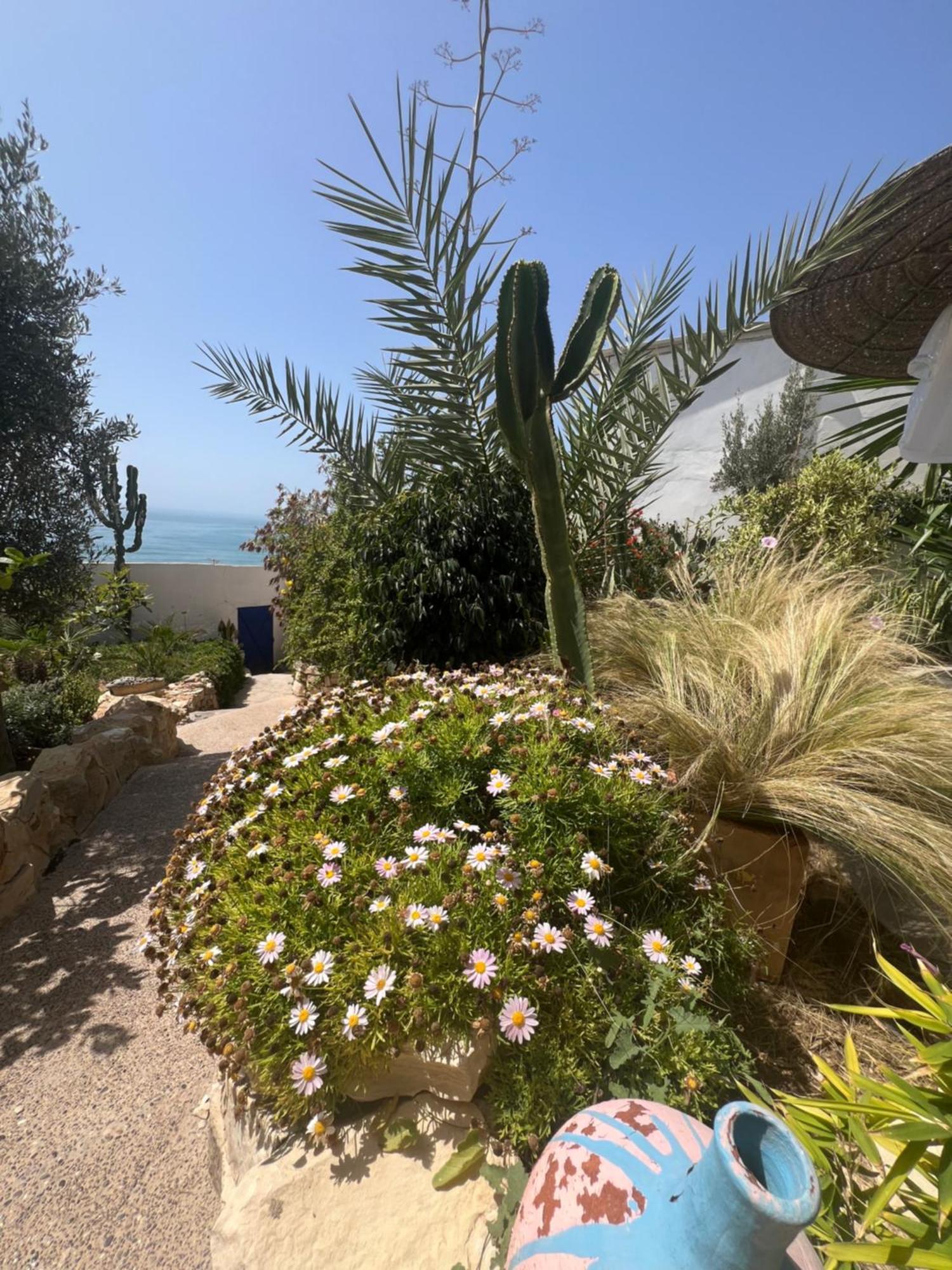 Villa Jardin De L'Ocean Aourir Dış mekan fotoğraf